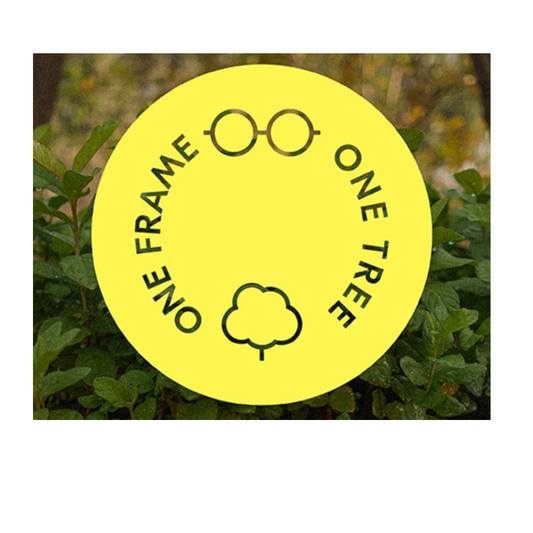 eco eyewear