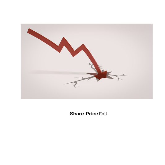 share price fall